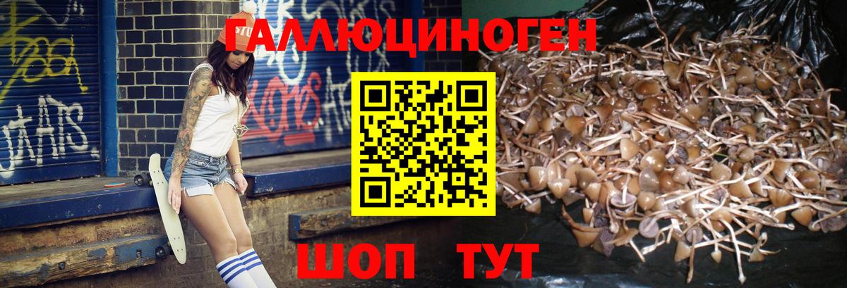 Галлюциногенные грибы мухоморы  Вход с VPN  Норильск 